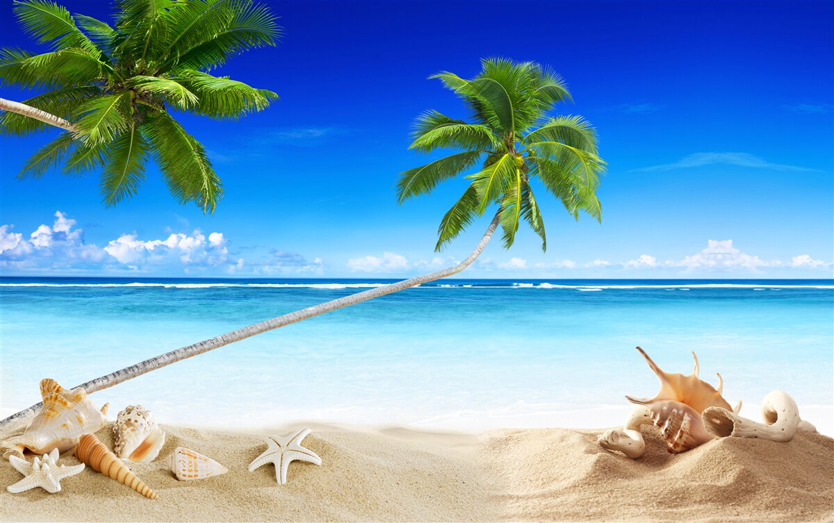 Fotobehang tropisch strand en palmbomen waar stilte heerst