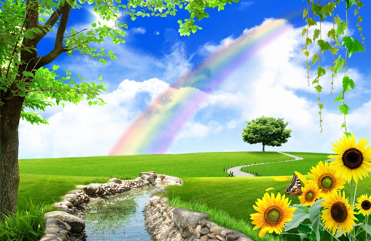 Fotobehang gekleurde gloed over een groene open plek