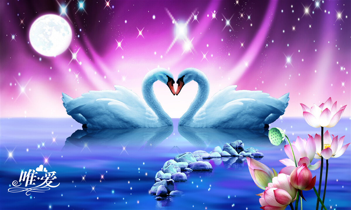 Fotobehang verliefde zwanen vormen een hart