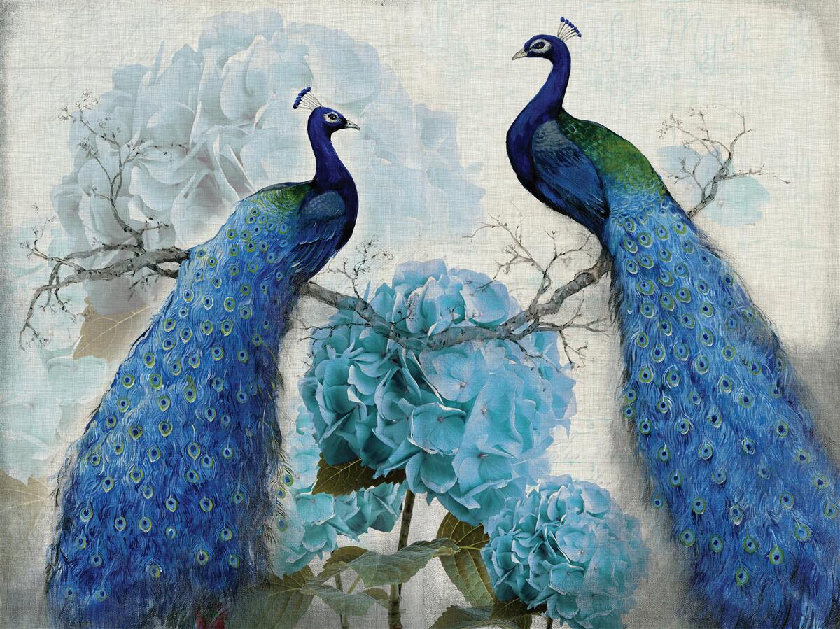 Fotobehang pauwen met blauwe veren op bloemen van dezelfde tint