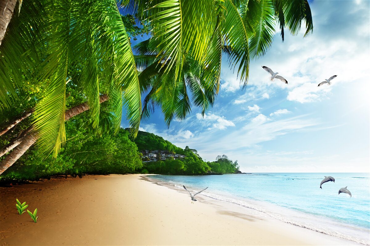 Fotobehang onbewoond eiland met zandstrand