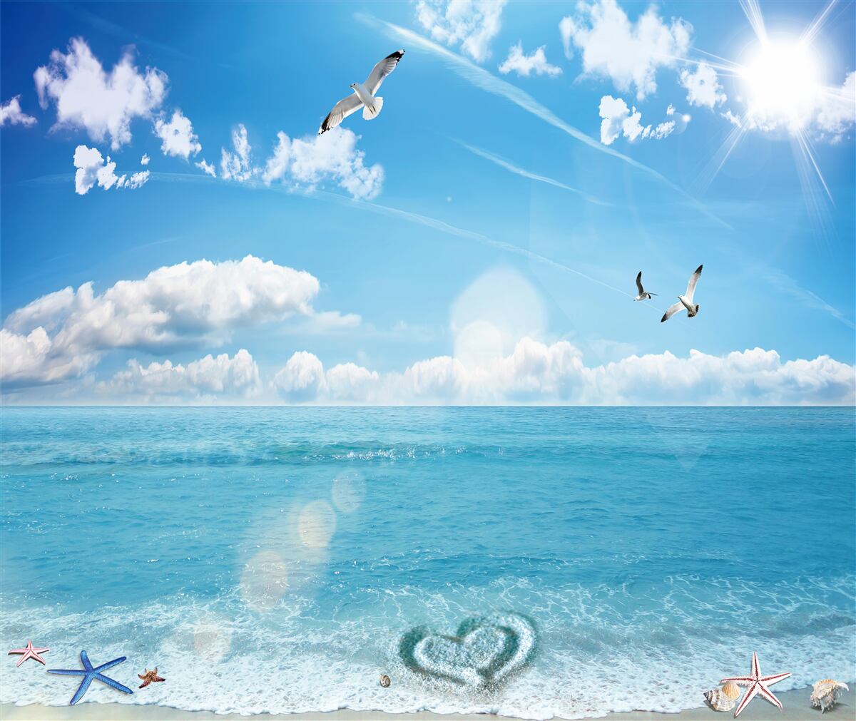 Fotobehang meeuwen boven blauwe golven