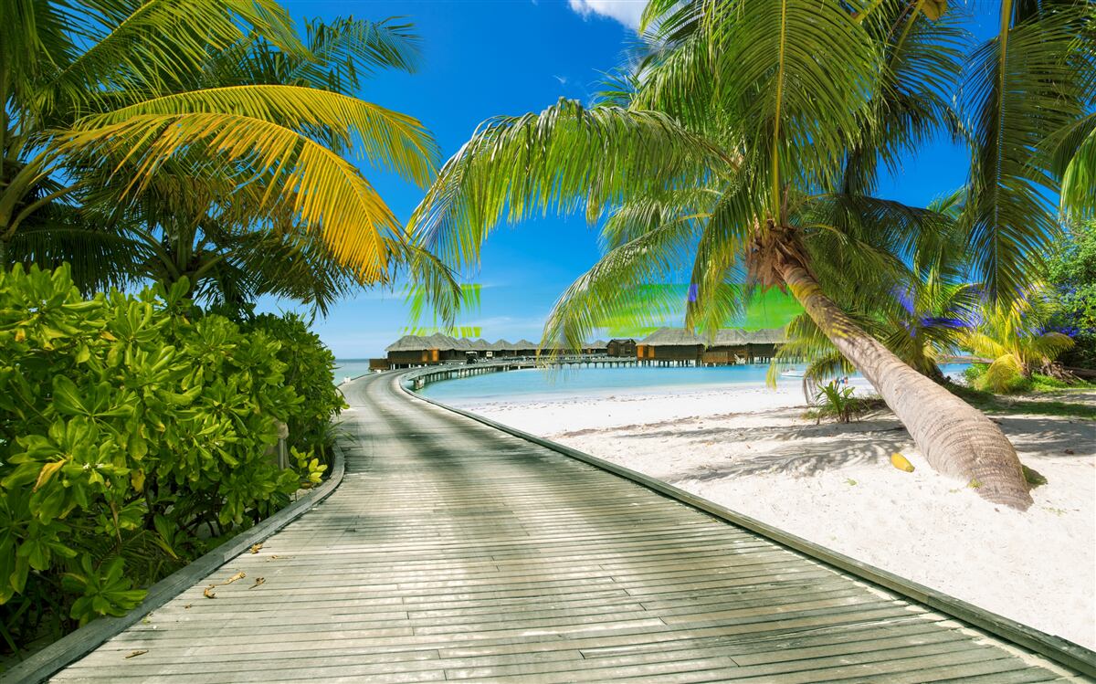 Fotobehang Pad naar huisjes aan zee