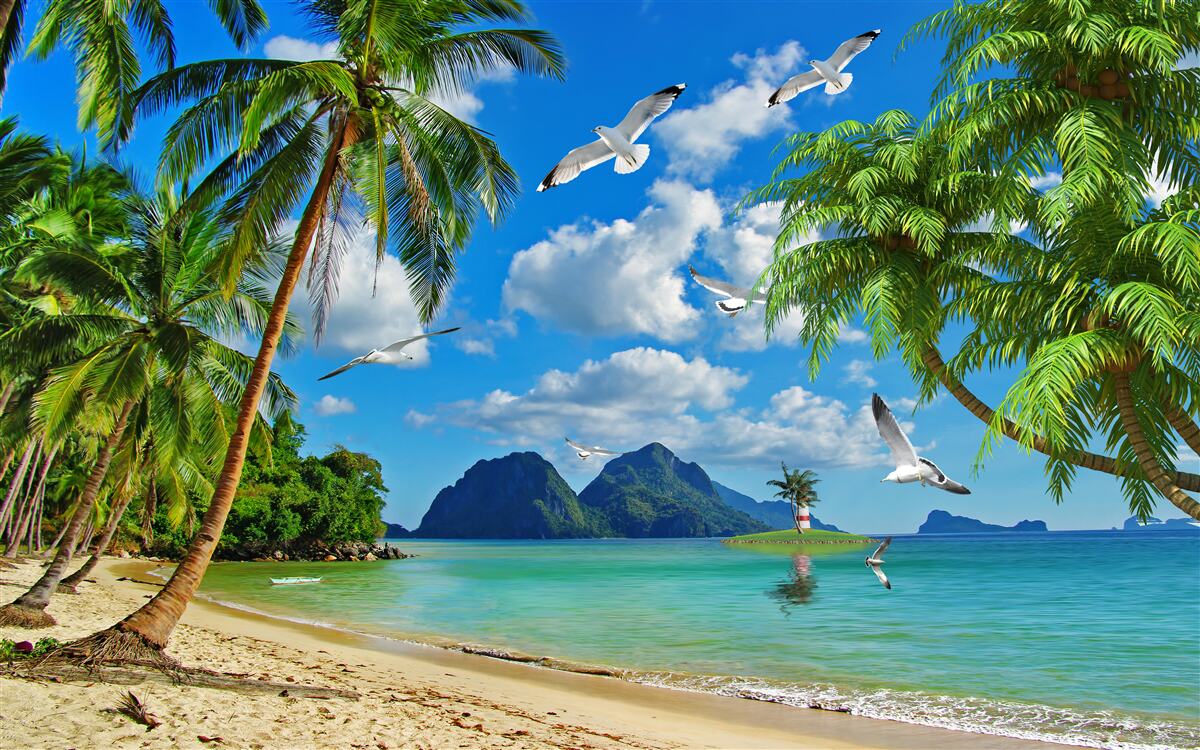 Fotobehang paradijs in de tropen