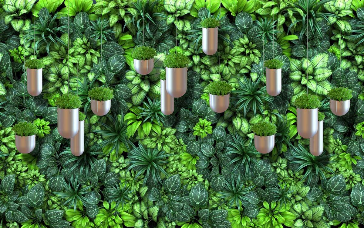 Fotobehang de kleur is groen en de planten staan in een pot