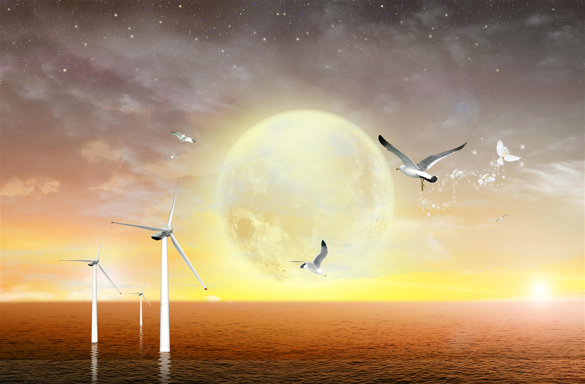 Fotobehang de zonsondergang boven zee wordt begeleid door het geroep van meeuwen