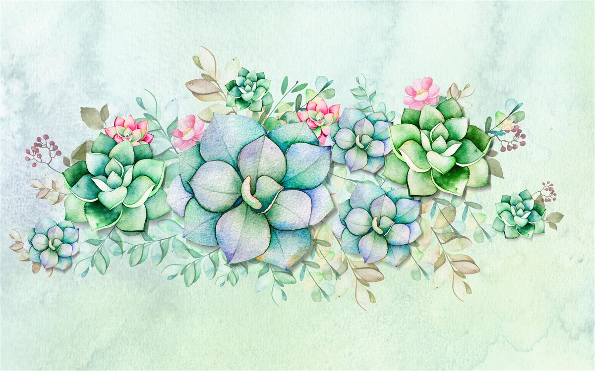 Fotobehang set groene vetplanten