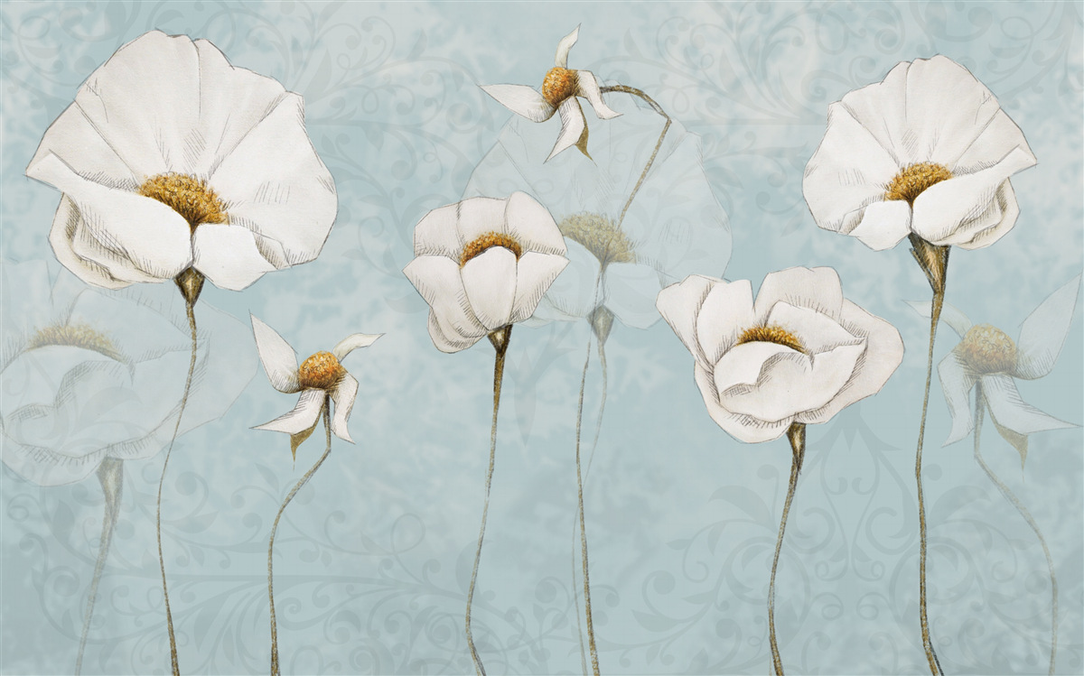 Fotobehang klaprozen zijn sneeuwwit en staan op hoge, tere stammen