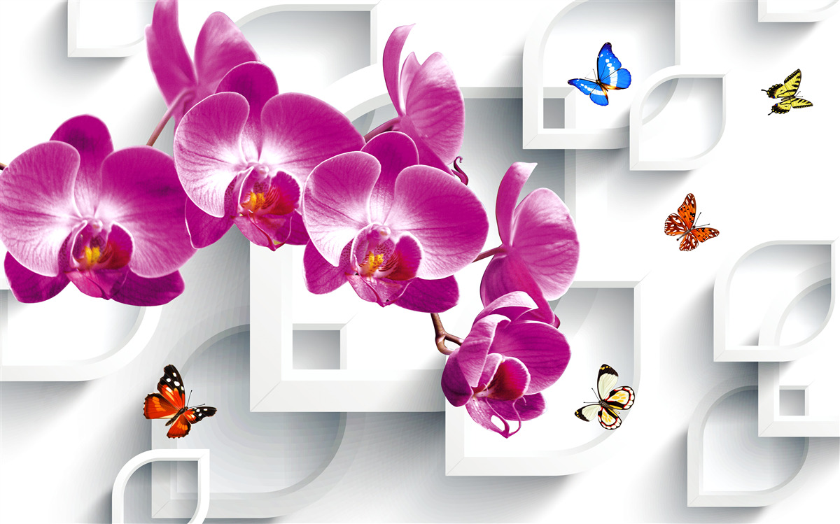 Fotobehang lila orchidee versierd met vlinders