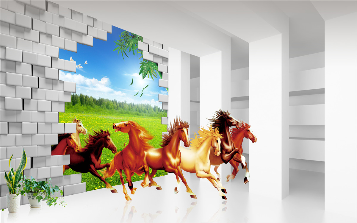 Fotobehang vertegenwoordigers van verschillende paardenrassen haasten zich uit de weide