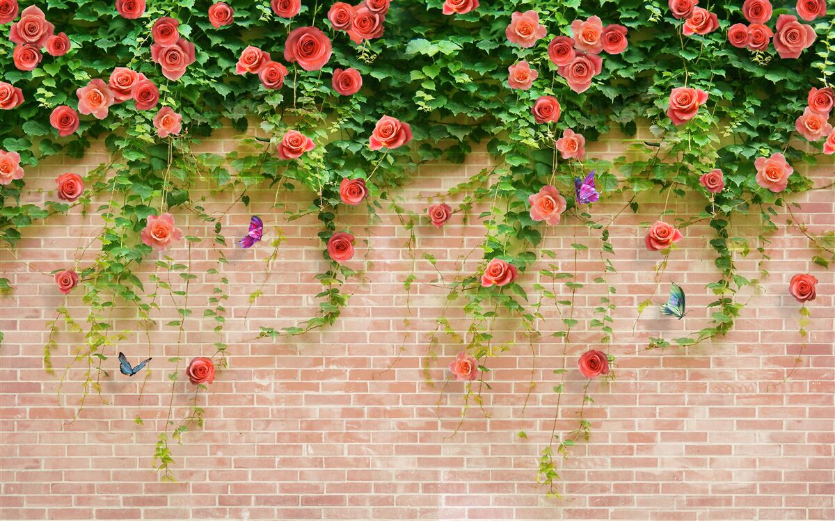 Fotobehang karmozijnrode bloemen op een bakstenen muur