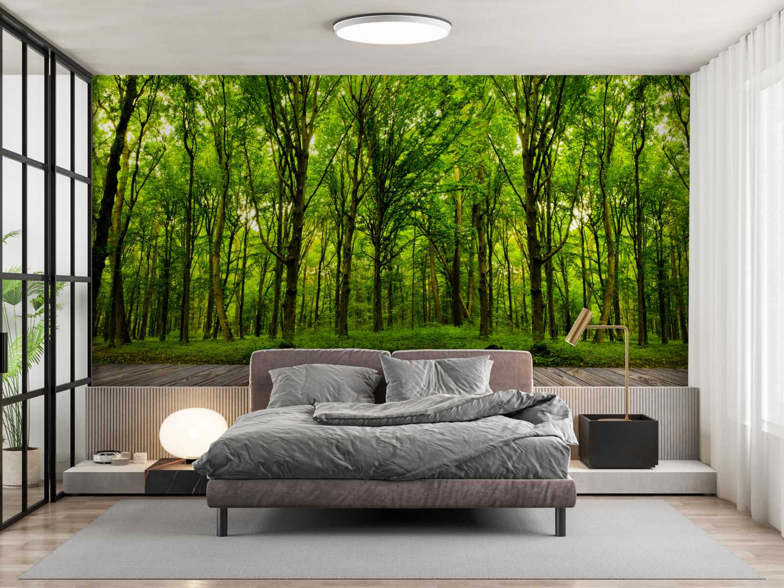 Fotobehang groen bos, slank en rijk, verlicht door zonnestralen