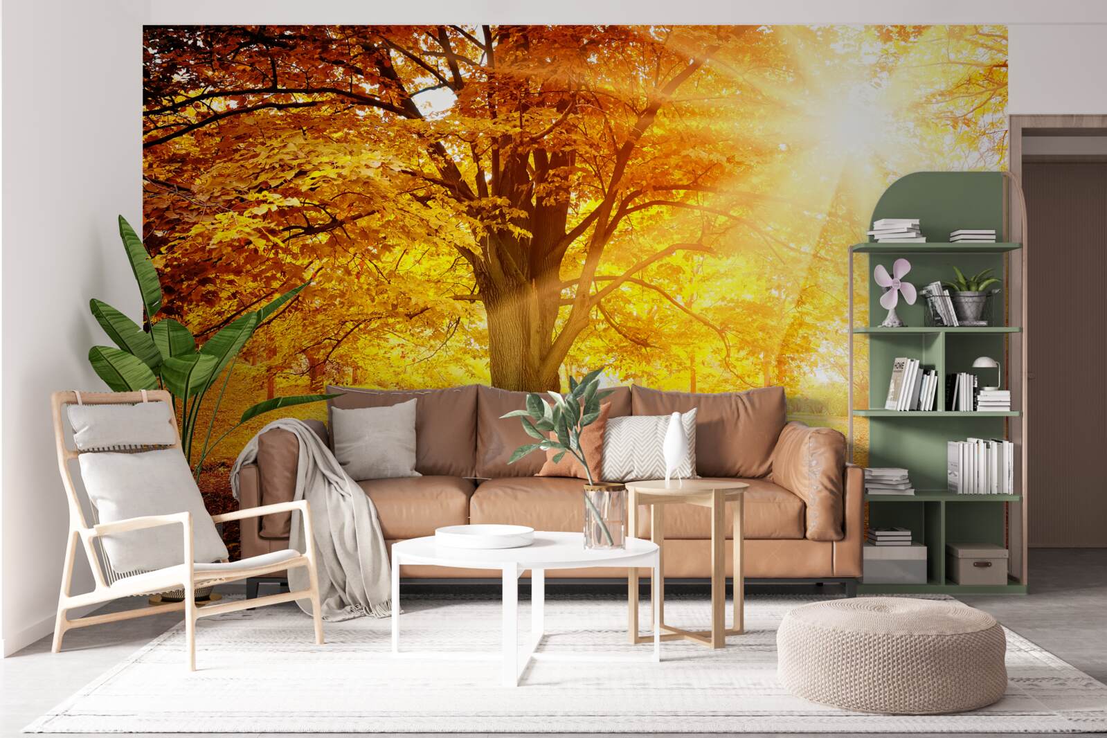 Fotobehang het felle licht van de zon doordringt de herfstnevel van het bos