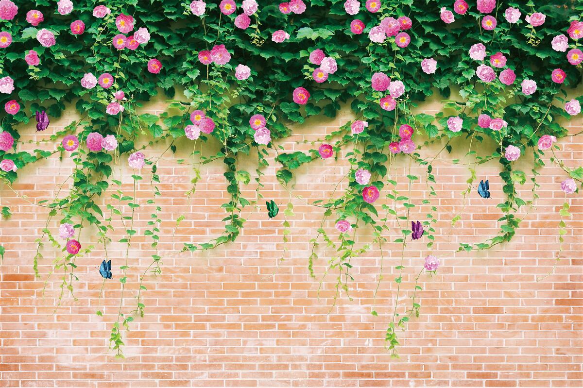 Fotobehang zachtroze rozen op een bakstenen muur