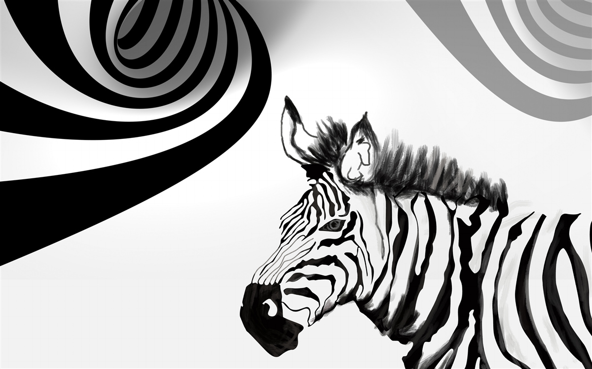 Fotobehang zwart-witte zebra in wachtende staat