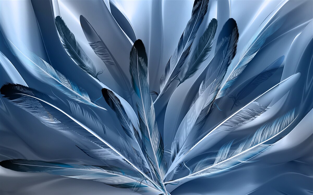 Fotobehang achtergrond bezaaid met blauwe veren