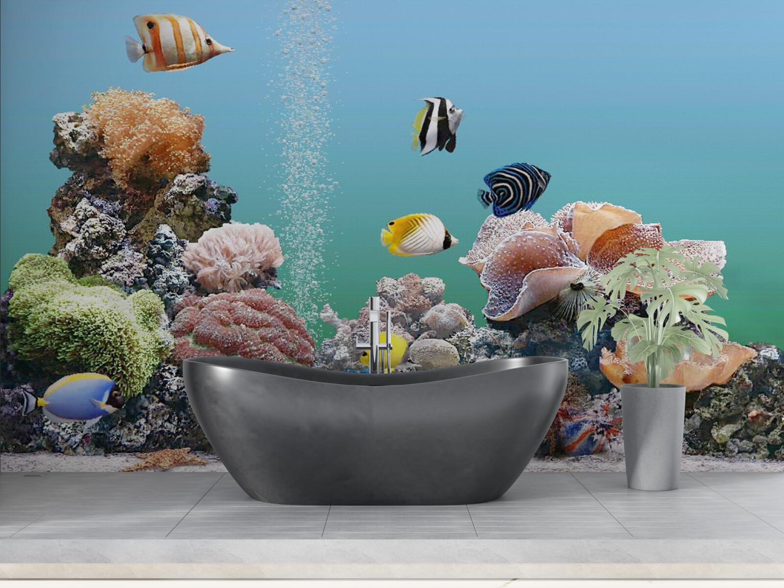 Fotobehang de schoonheid van koraalbarrières