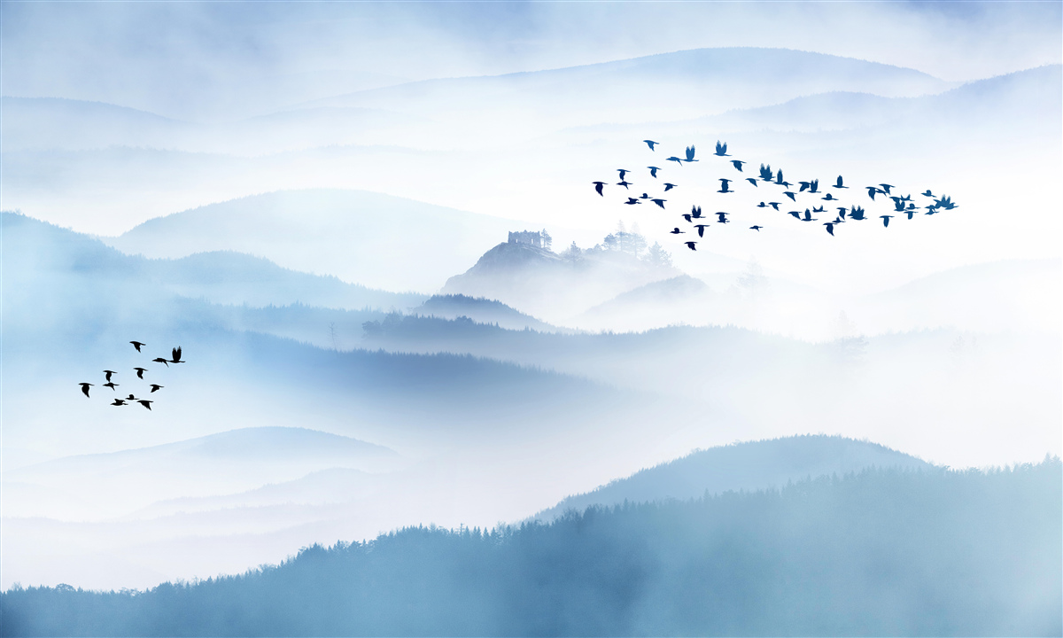 Fotobehang groepjes vogels stijgen op boven de mistige toppen