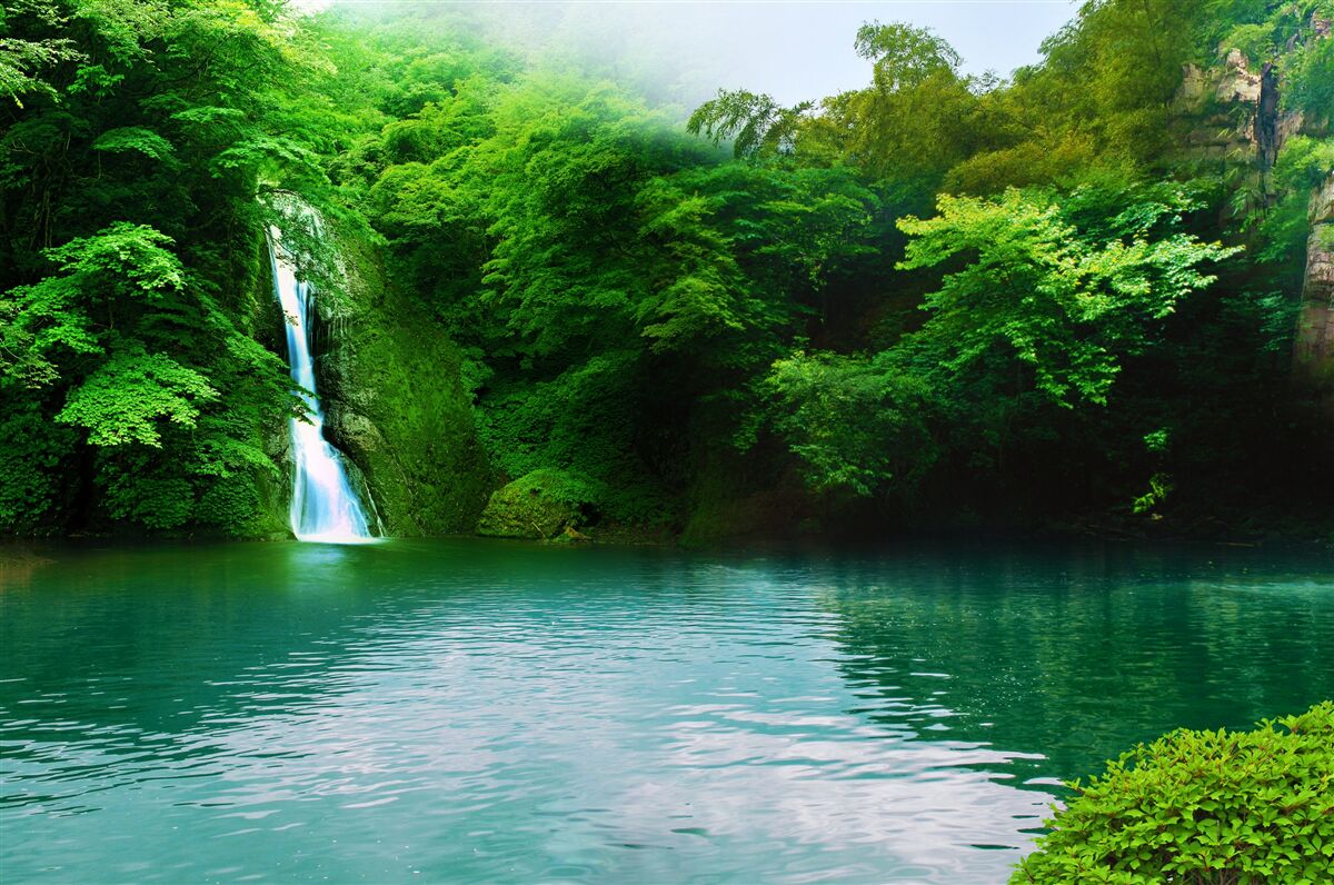 Fotobehang boswaterval die uit een hoge berg stroomt