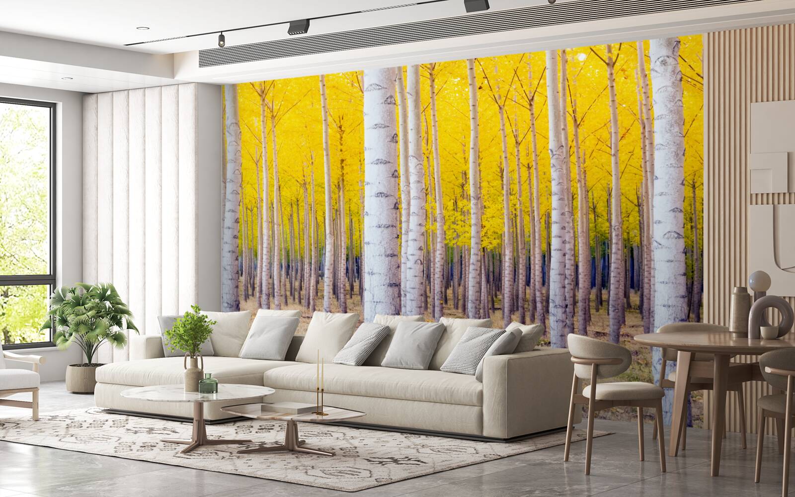 Fotobehang felgele kleuren lichten op in het berkenbos