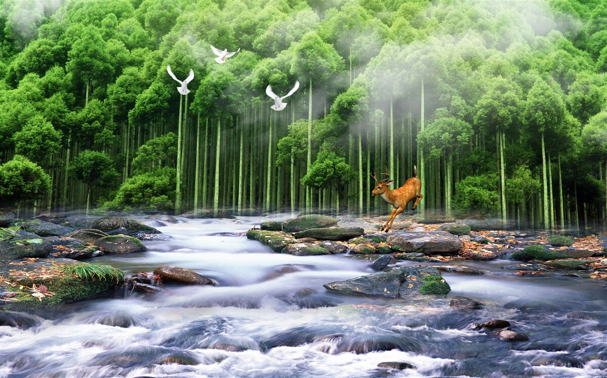 Fotobehang bosnatuur en watervallen
