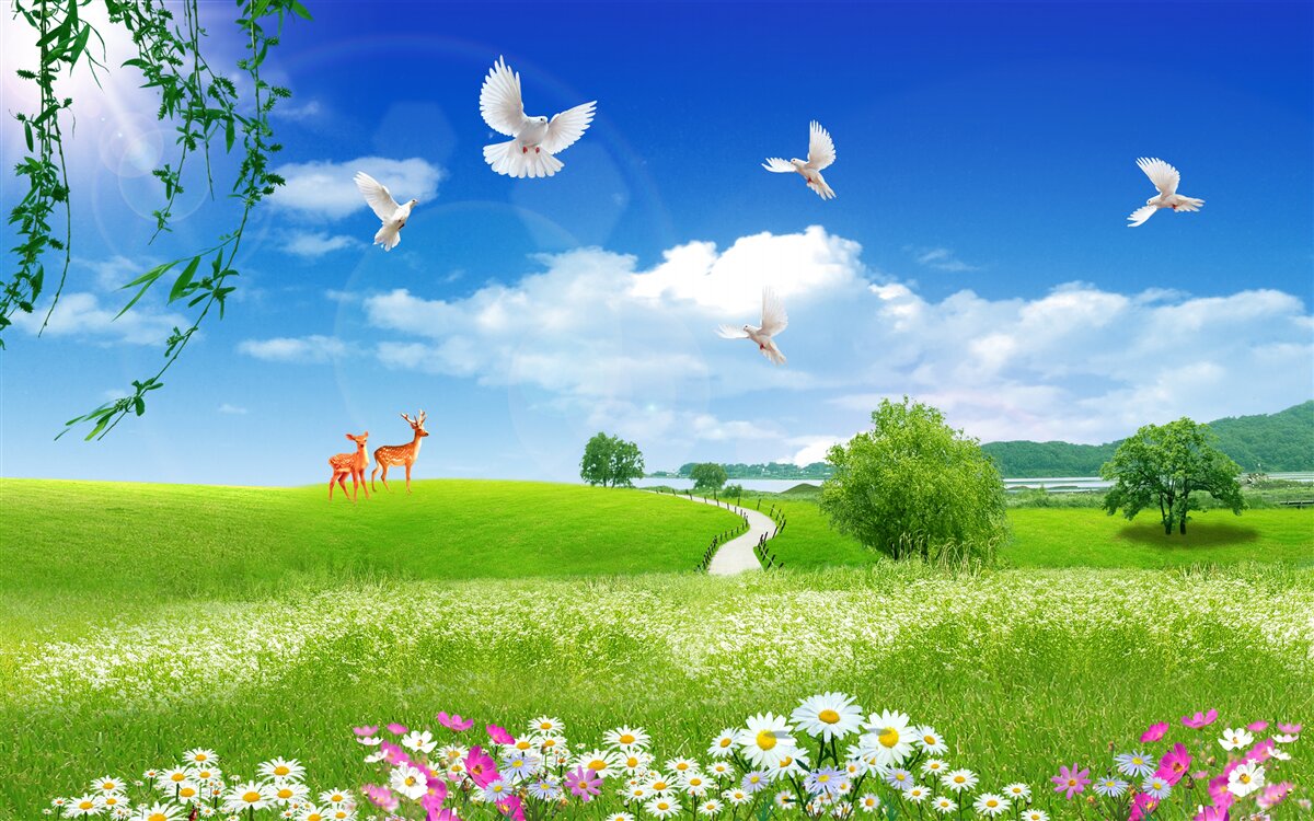 Fotobehang twee herten in groene gebieden