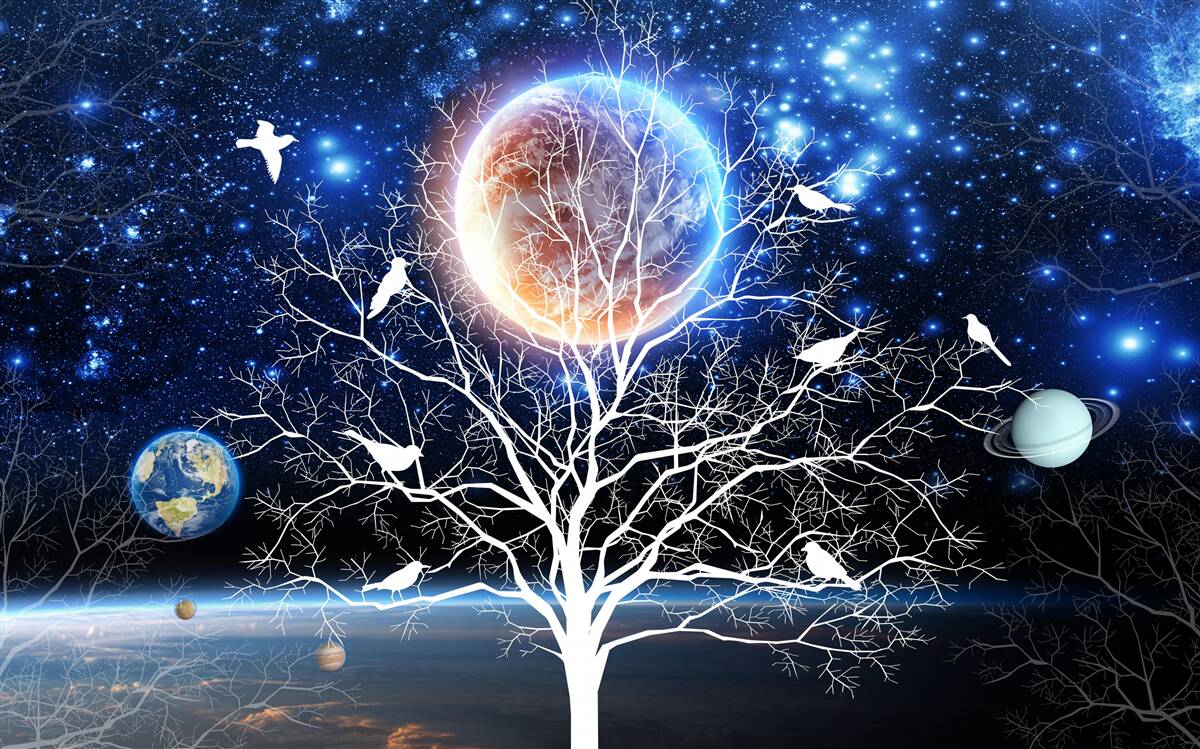 Fotobehang vredesboom tegen een sterrenhemel