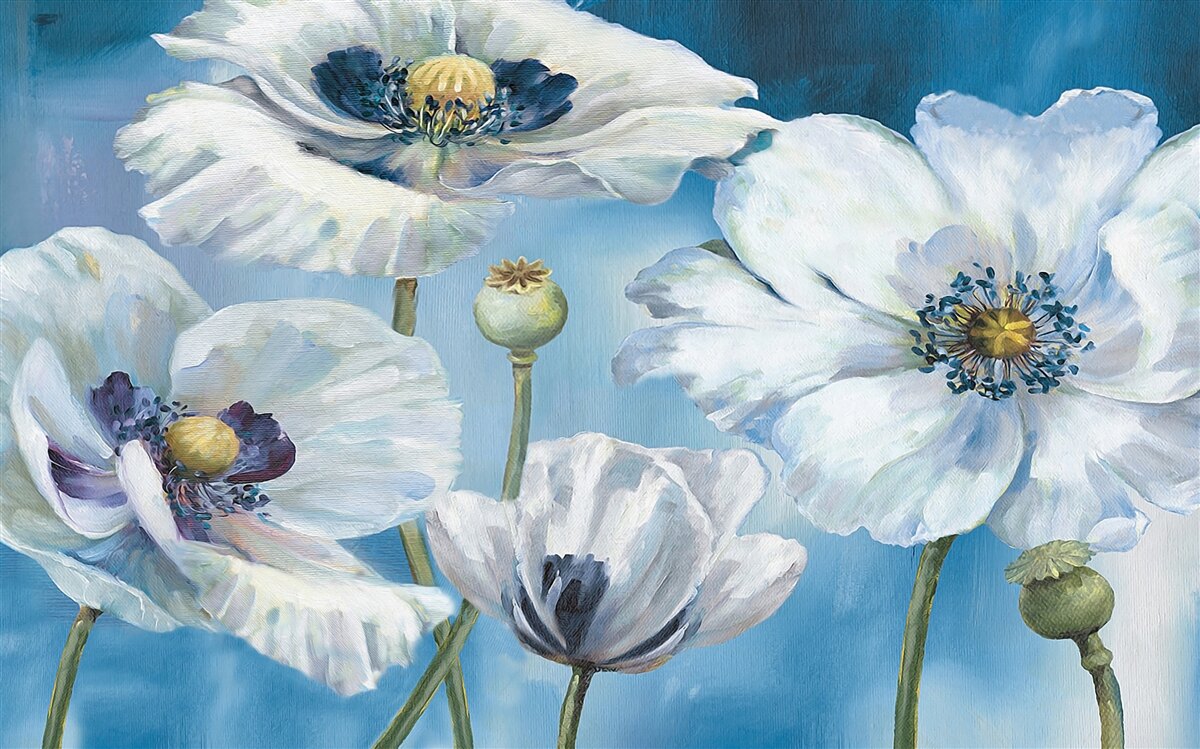 Fotobehang grote witte klaprozen