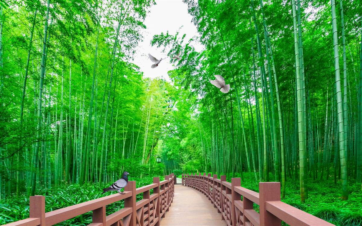 Fotobehang Pad door een groen bamboebos