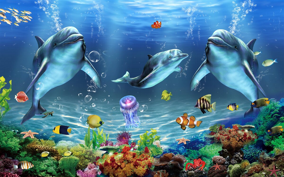 Fotobehang waterbewoners - dolfijnen