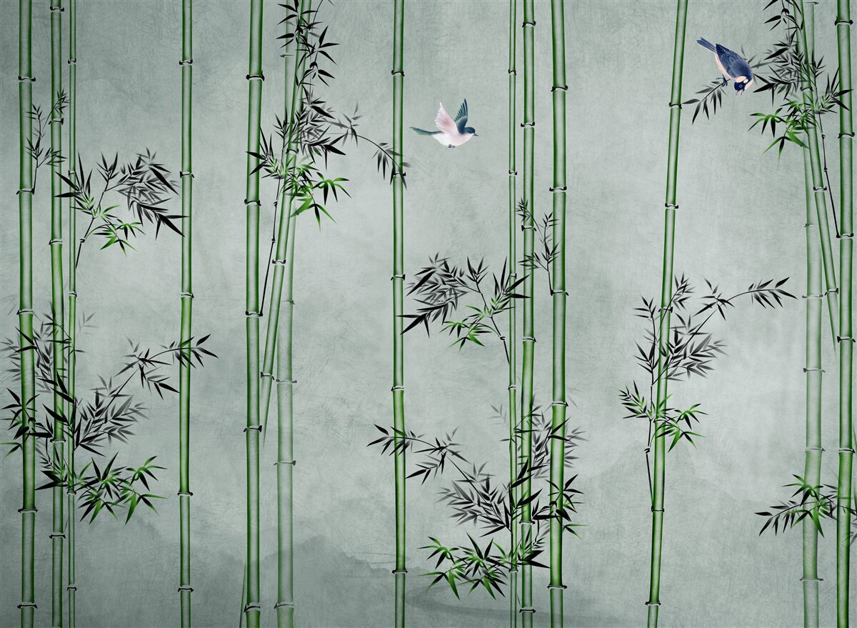 Fotobehang het bamboebos is in mist gehuld