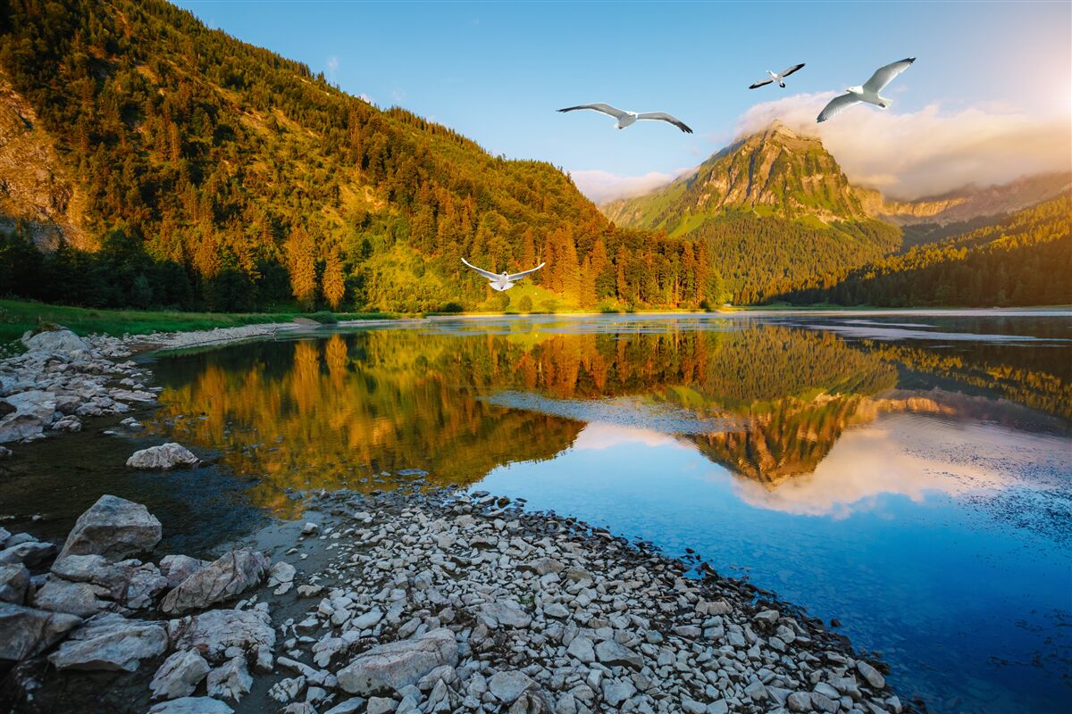 Fotobehang vogels vliegen over bergwater
