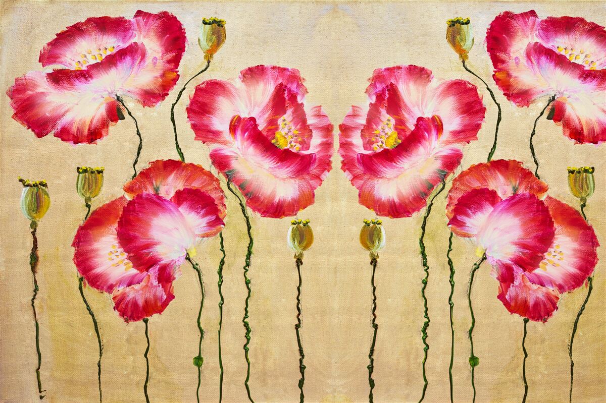 Fotobehang knoppen en bloemen van klaprozen in rode en witte tinten