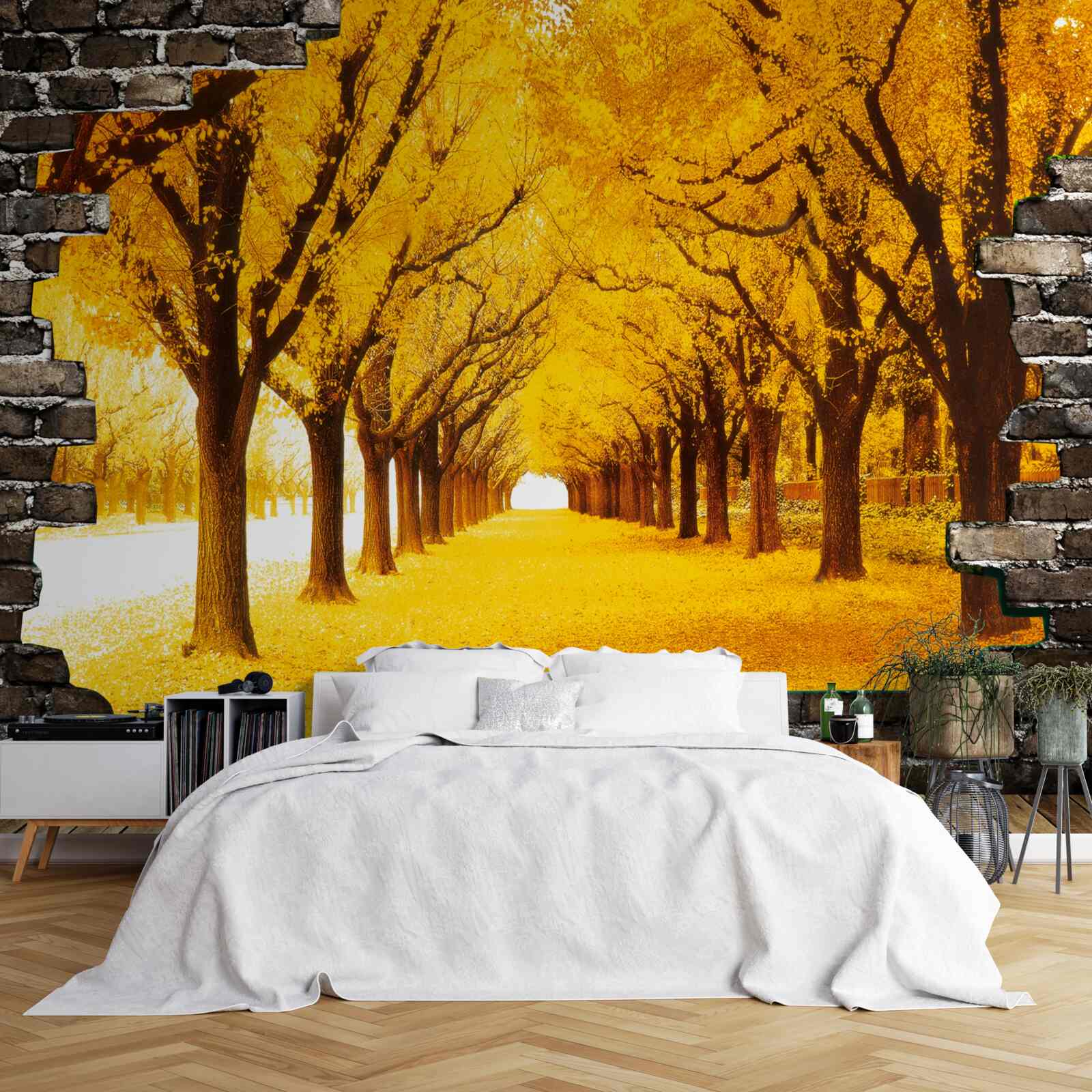 Fotobehang de laan was bedekt met gele bladeren
