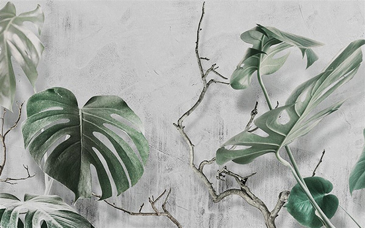 Fotobehang groene monstera bladeren zijn groot