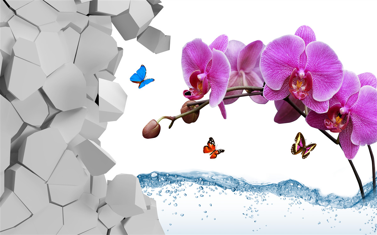 Fotobehang paarse orchidee en vlinders op een tak