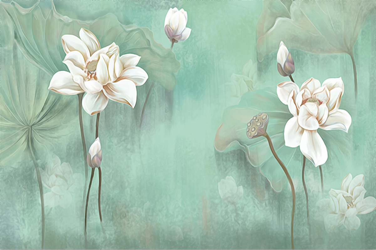 Fotobehang Chinese lotussen zijn wit