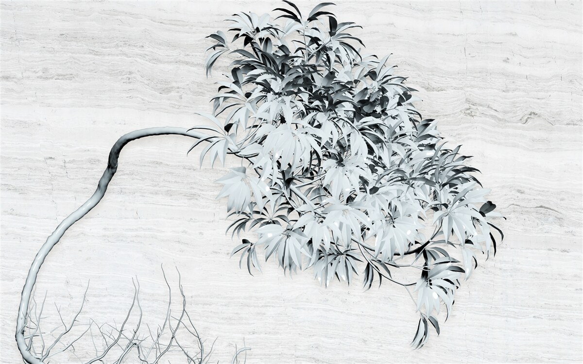 Fotobehang een boom die alleen in de wind staat