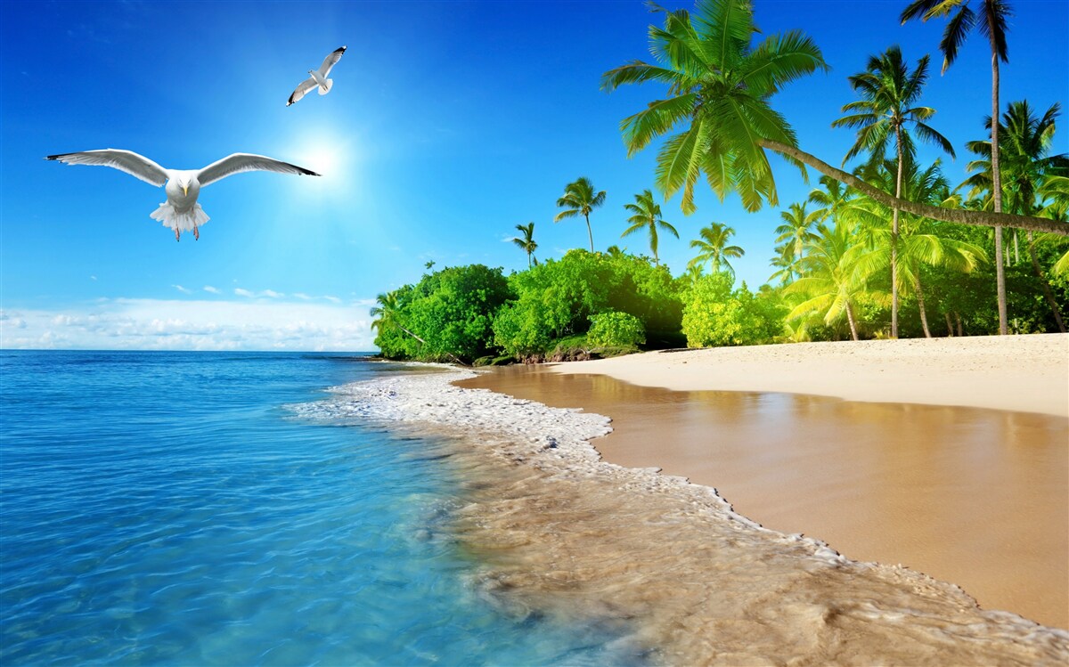 Fotobehang idyllische locatie aan de oceaan