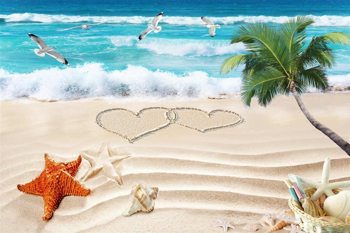 Fotobehang palmbomen en strand in de tropen