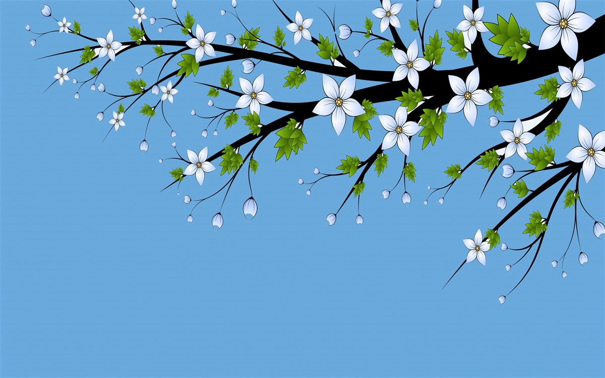 Fotobehang een tak waaraan witte knoppen opengaan