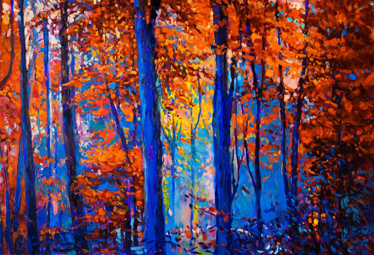 Fotobehang kleurcontrast in het bos in de herfst