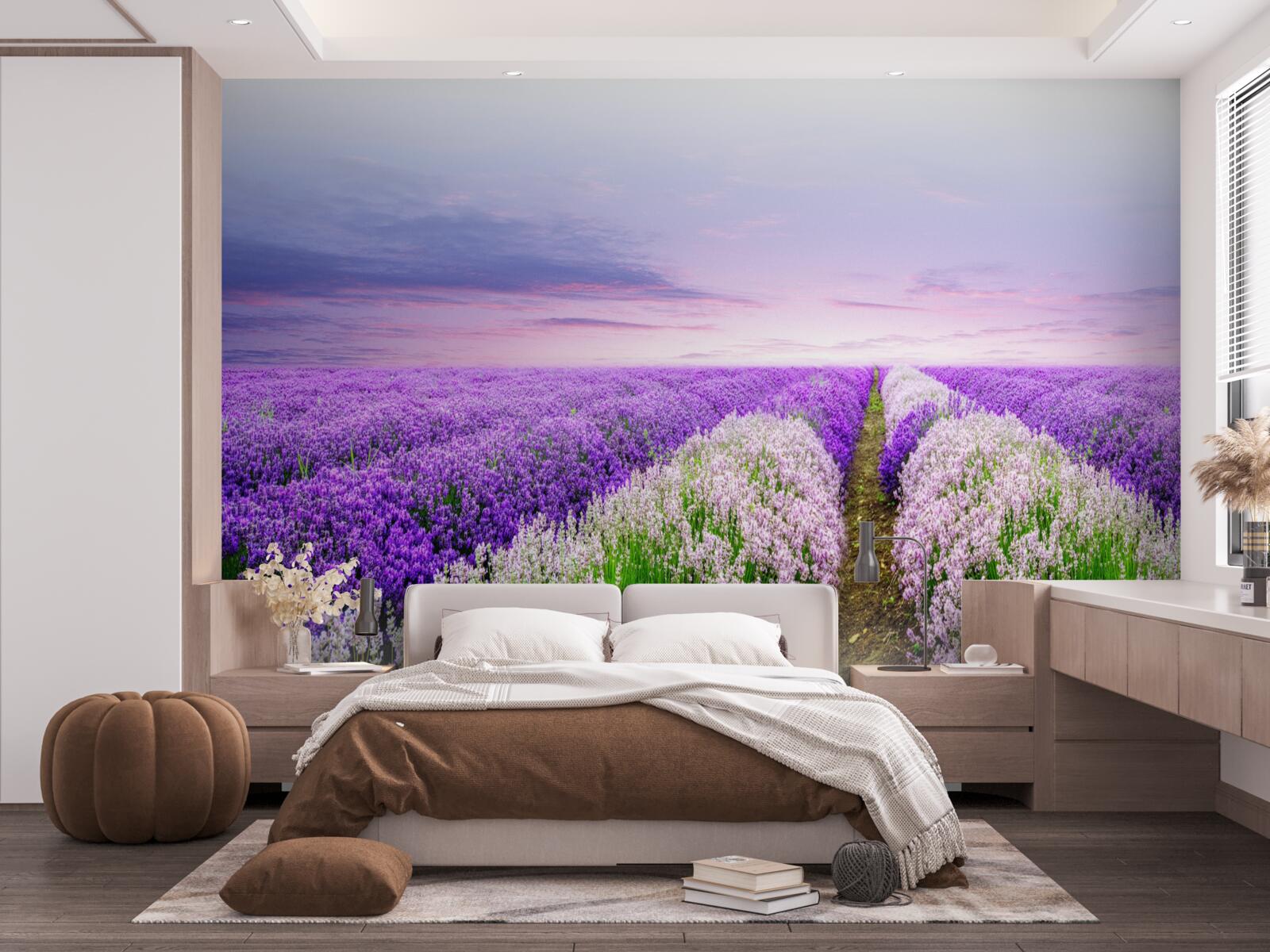 Fotobehang veld met geurige lavendel in de weiden