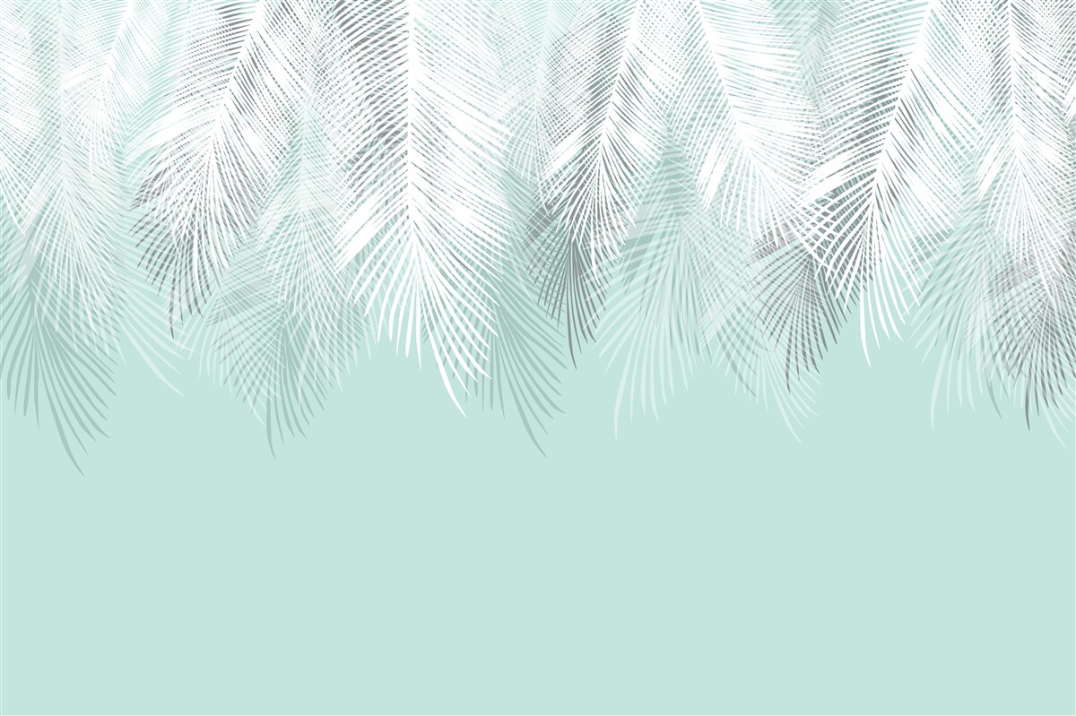 Fotobehang de palmbladeren zijn wit op een turquoise achtergrond