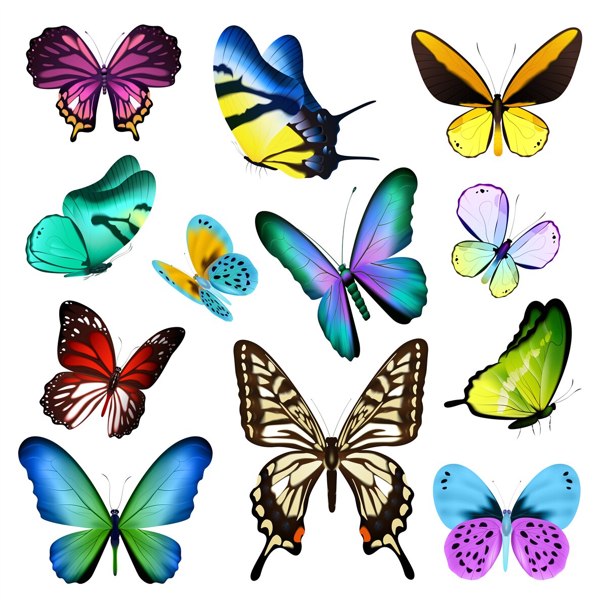 Fotobehang aquarel met Scandinavische bladeren