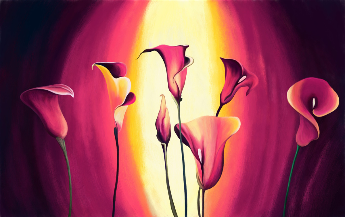 Fotobehang ongelofelijk mooie callia's