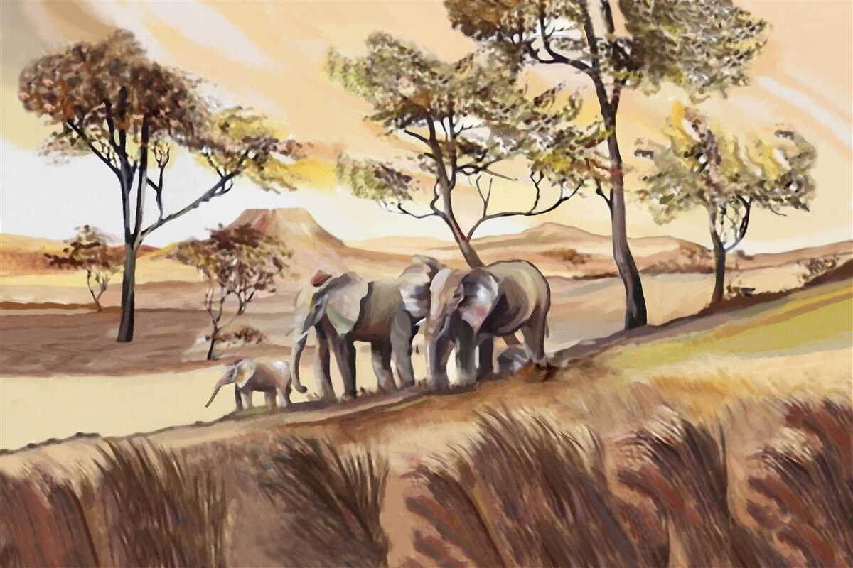 Fotobehang olifantenreis met het gezin