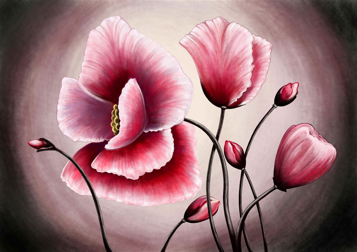 Fotobehang klaprozen bloeien roze