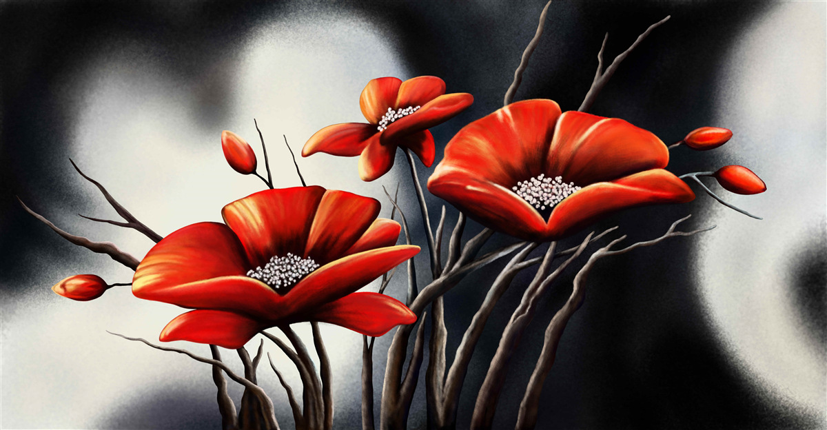 Fotobehang zwarte achtergrond versierd met rode klaprozen