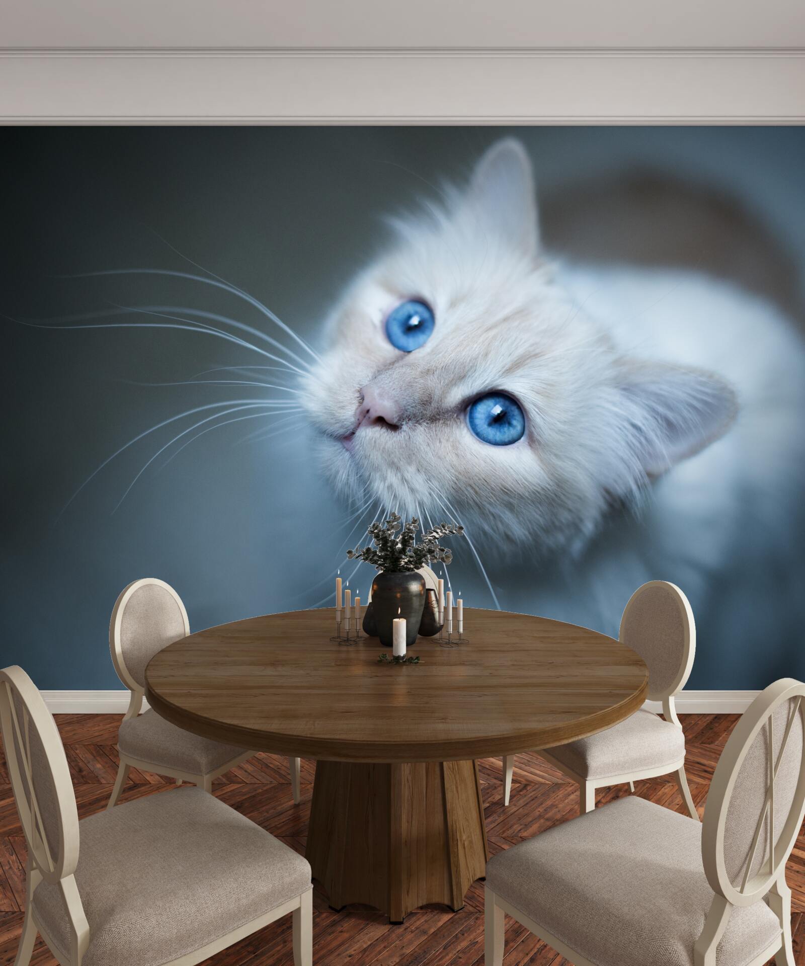 Fotobehang kitten met witte vacht en blauwe ogen